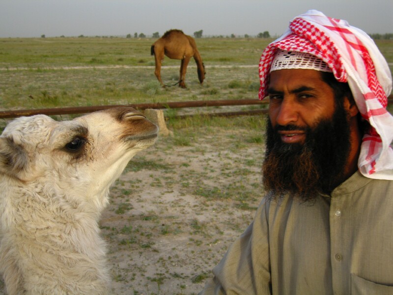 kuwait10.jpg