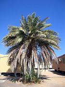 oman