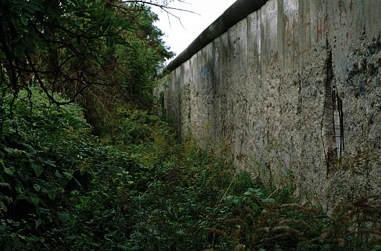 wall4.jpg