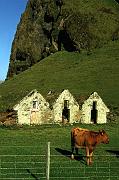iceland5