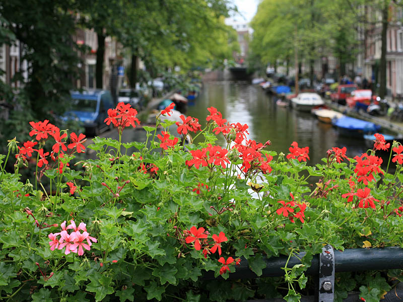 amsterdam00.jpg