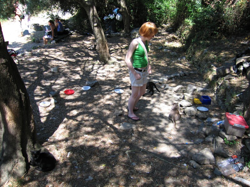 ctcat09.jpg