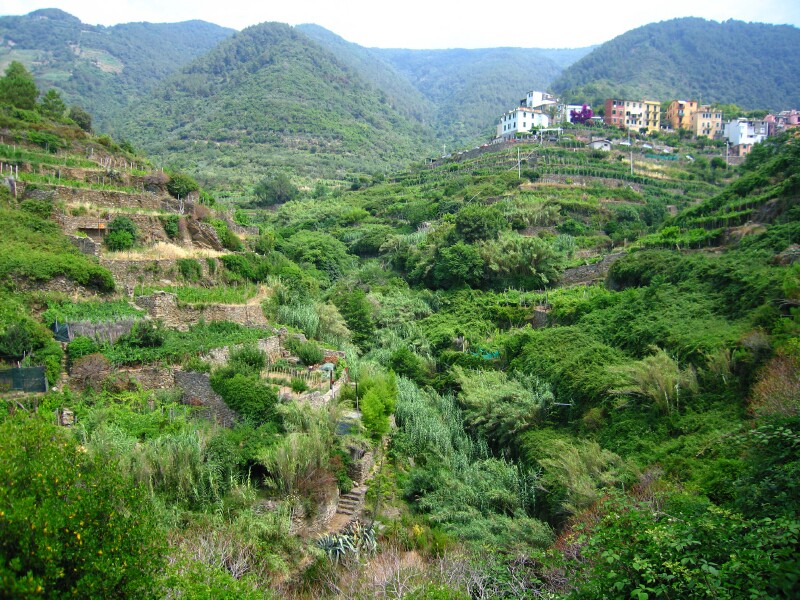 corniglia03.jpg