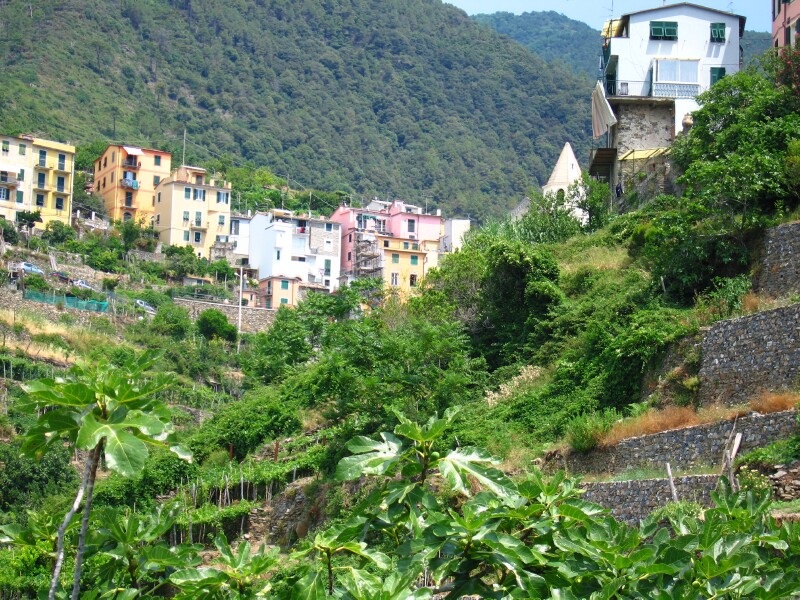 corniglia05.jpg
