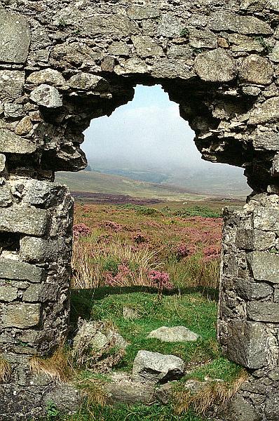 glen05.jpg