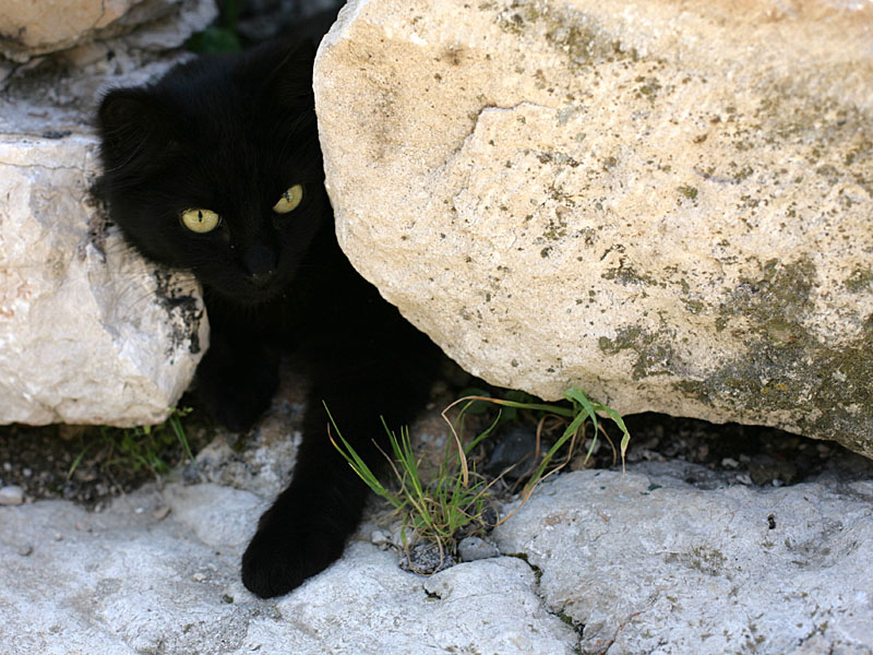 croatia070.jpg