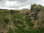 iceland039