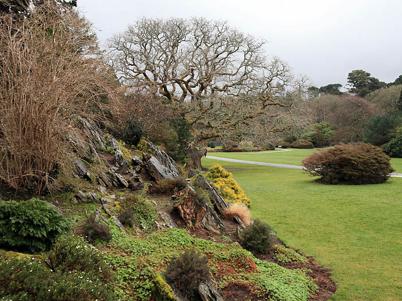 muckross6.jpg