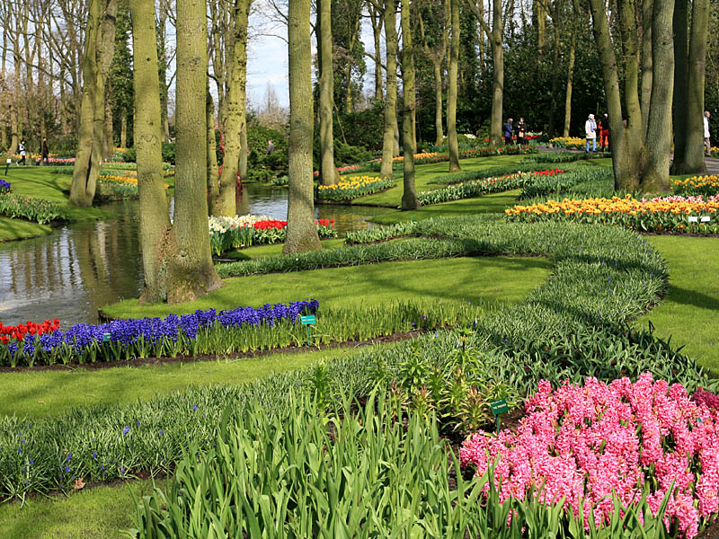 keukenhof35.jpg