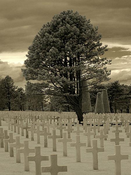 normandy07.jpg