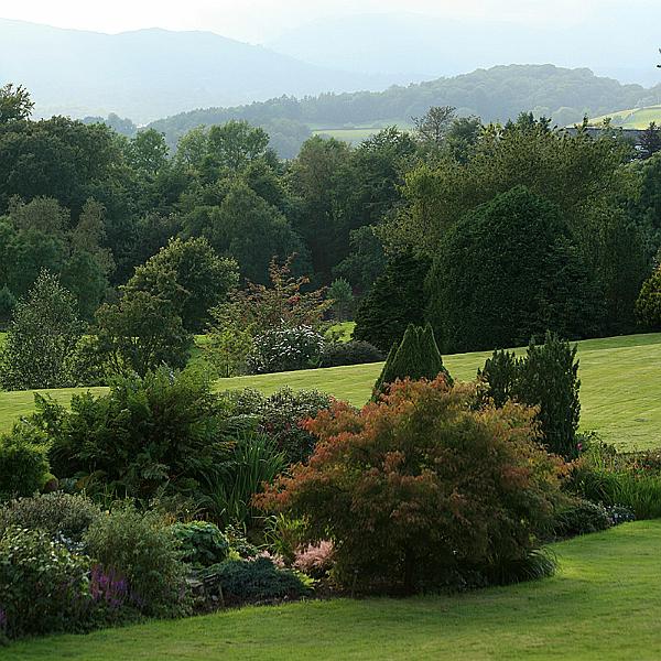 garden14.jpg