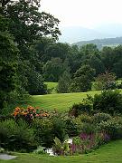 garden15