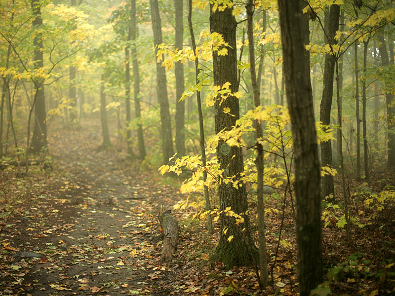 fall09-14.jpg