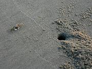 obx15