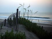 obx24