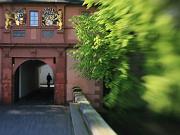 darmstadt3