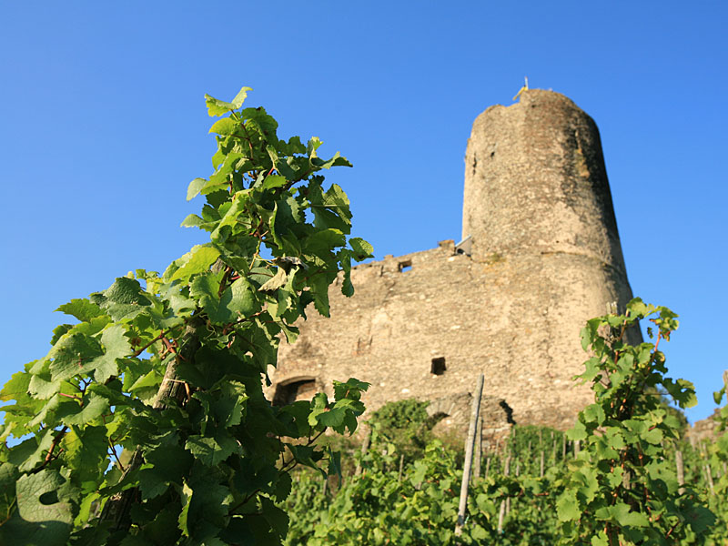 bernkastel04.jpg