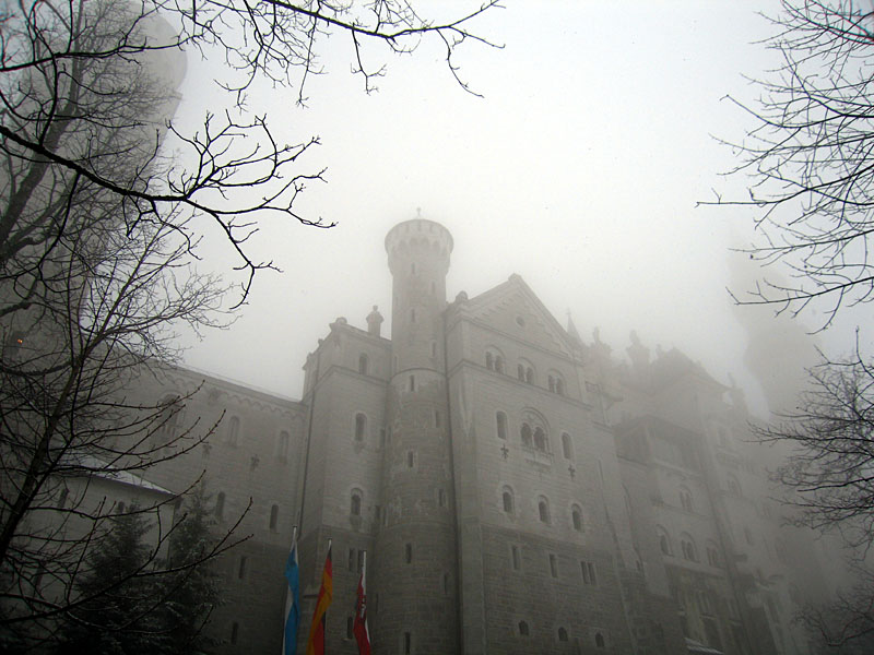 ludwig1.jpg