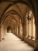 trier15