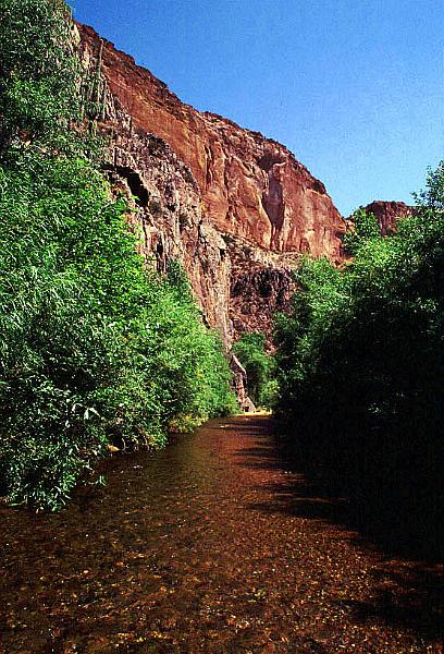 aravaipa02.jpg