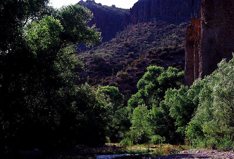 aravaipa07.jpg