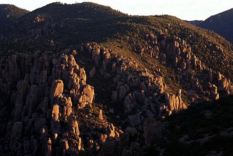 chiricahua3.jpg