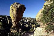 chiricahua4