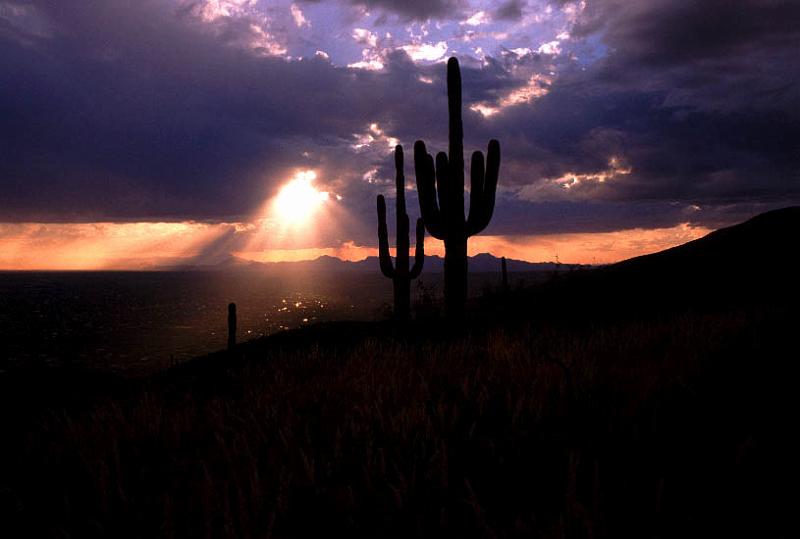 tucson02-03.jpg