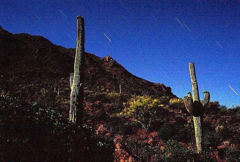 saguar_moon1.jpg