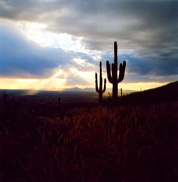 tucson02-01.jpg