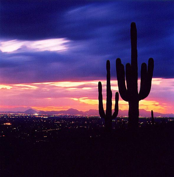 tucson02-02.jpg