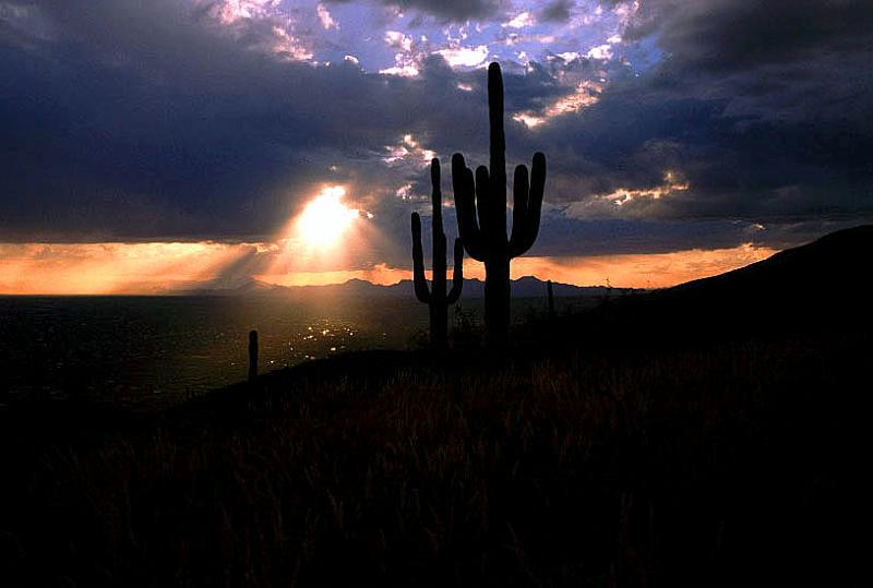 tucson02-03.jpg
