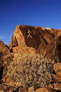 ironwood2