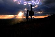 tucson02-03