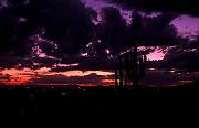 tucson02-04