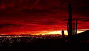 tucson1