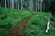 Flagstaff