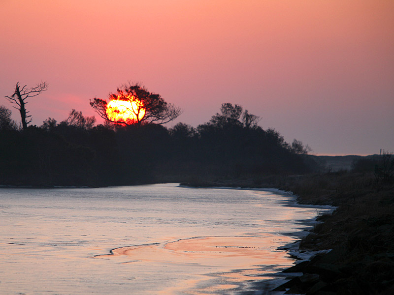 assateague03.jpg