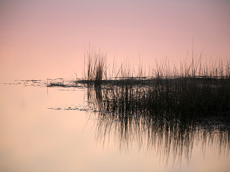 assateague04.jpg
