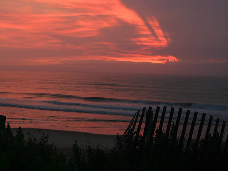 obx07.jpg